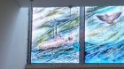 20150621_184246_hdr