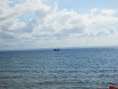 p7050141